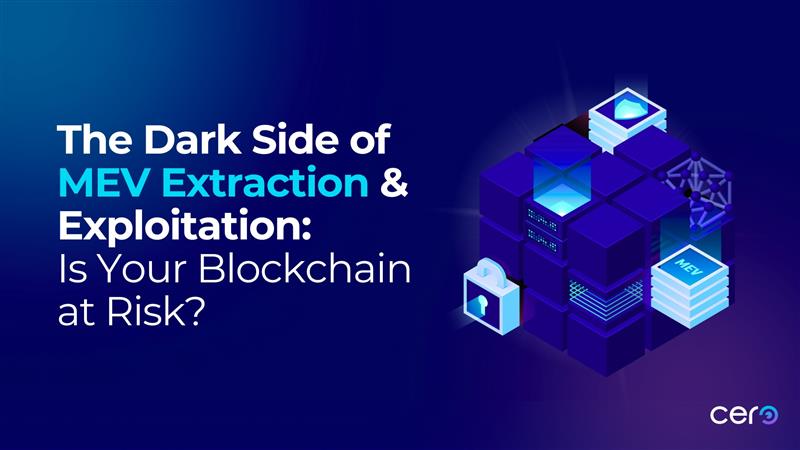 The Dark Side of MEV Extraction & Exploitation: Is Your Blockchain at Risk?